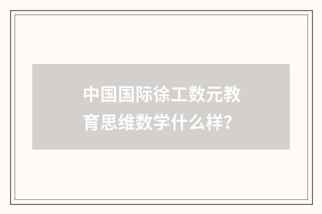 中国国际徐工数元教育思维数学什么样？