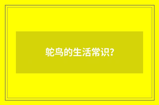 鸵鸟的生活常识？