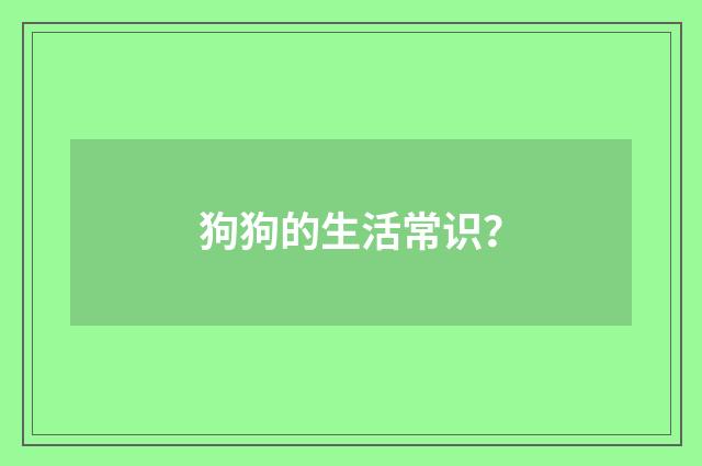 狗狗的生活常识?