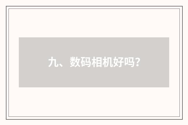 九、数码相机好吗?