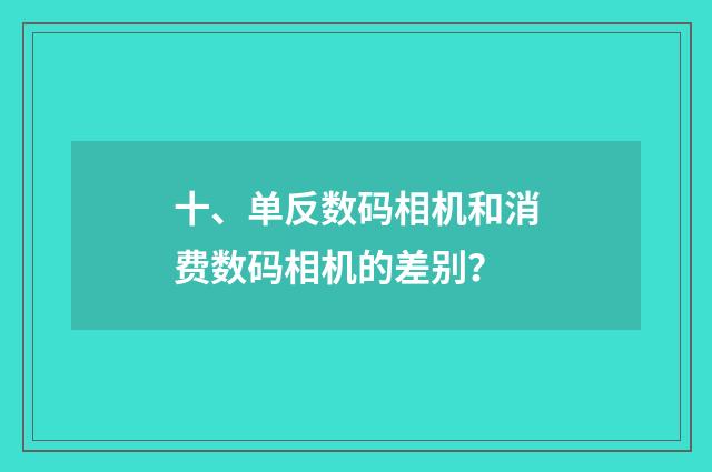 十、单反数码相机和消费数码相机的差别?