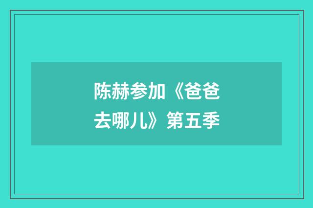 陈赫参加《爸爸去哪儿》第五季