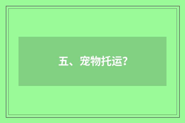 五、宠物托运？