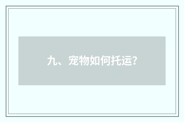 九、宠物如何托运?