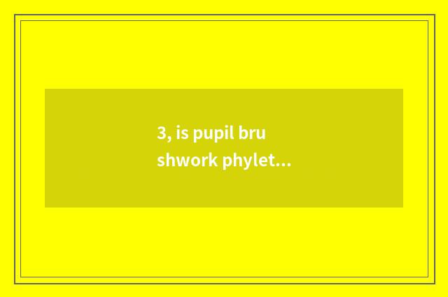 3, is pupil brushwork phyletic?