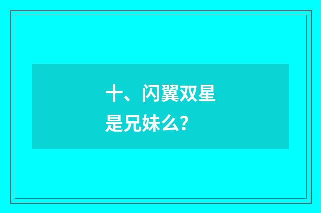 十、闪翼双星是兄妹么?