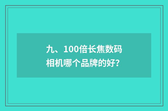 九、100倍长焦数码相机哪个品牌的好?