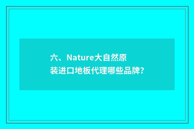 六、Nature大自然原装进口地板代理哪些品牌?