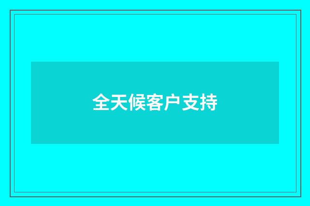 全天候客户支持
