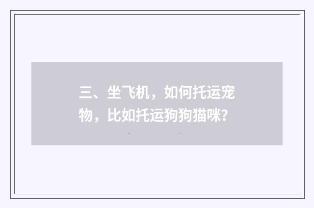 三、坐飞机,如何托运宠物,比如托运狗狗猫咪?