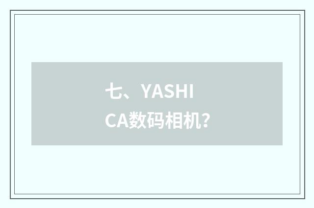 七、YASHICA数码相机?