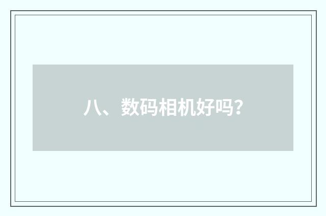 八、数码相机好吗？