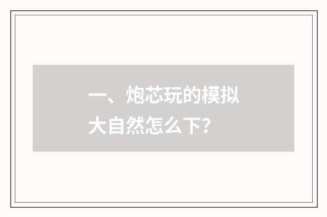 一、炮芯玩的模拟大自然怎么下?