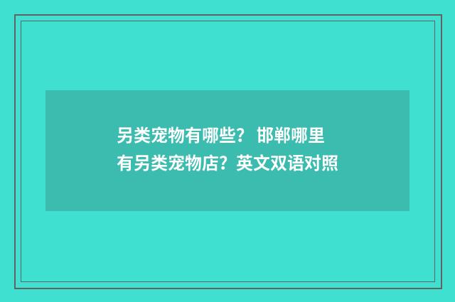 另类宠物有哪些? 邯郸哪里有另类宠物店?英文双语对照