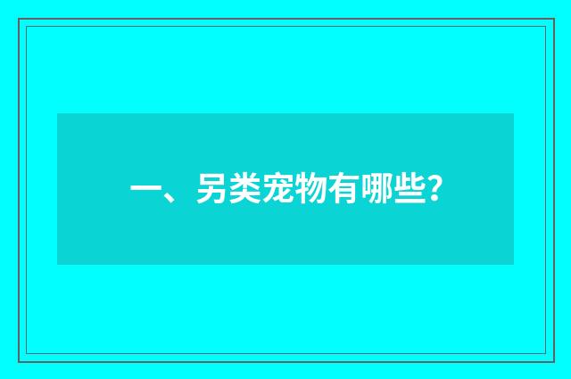 一、另类宠物有哪些？