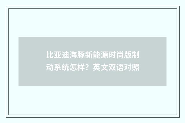比亚迪海豚新能源时尚版制动系统怎样?英文双语对照