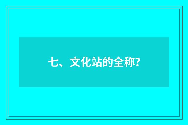 七、文化站的全称?