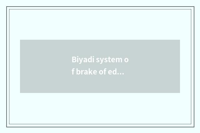 Biyadi system of brake of edition of vogue of dolphin new energy resources how?