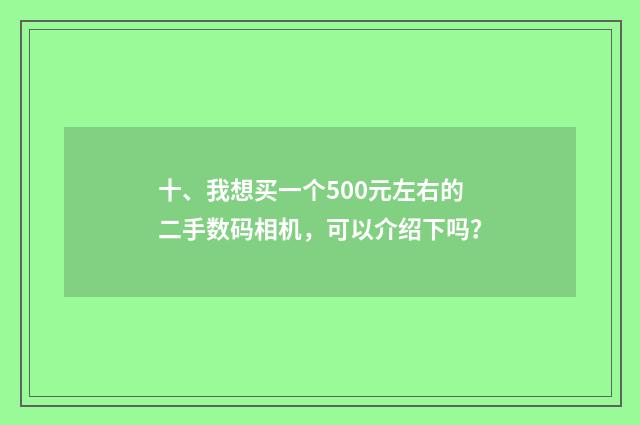 十、我想买一个500元左右的二手数码相机，可以介绍下吗？