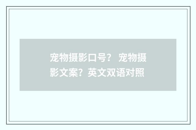 宠物摄影口号? 宠物摄影文案?英文双语对照
