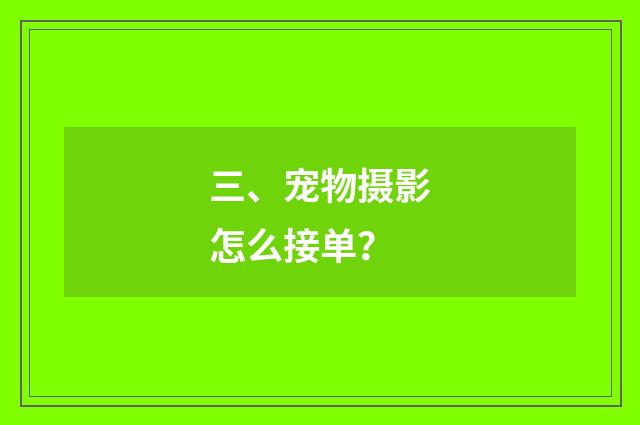 三、宠物摄影怎么接单?