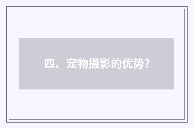 四、宠物摄影的优势？