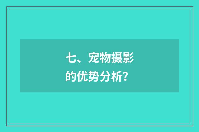 七、宠物摄影的优势分析?
