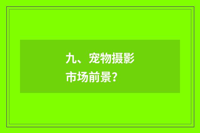 九、宠物摄影市场前景？
