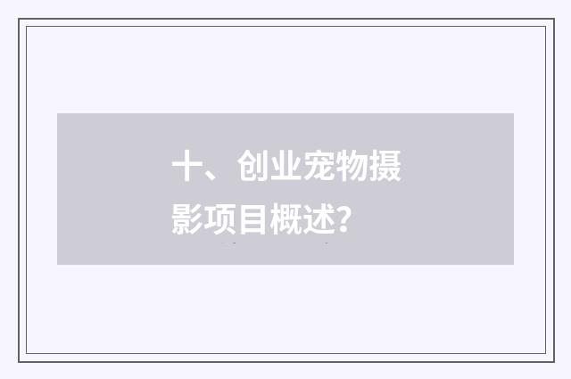 十、创业宠物摄影项目概述？