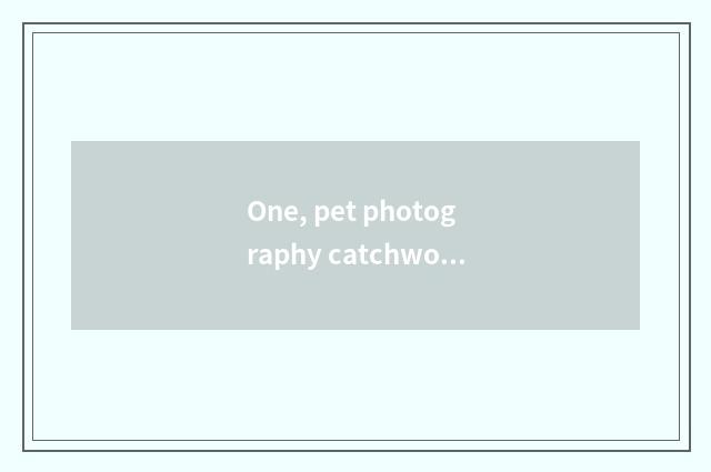 One, pet photography catchword?