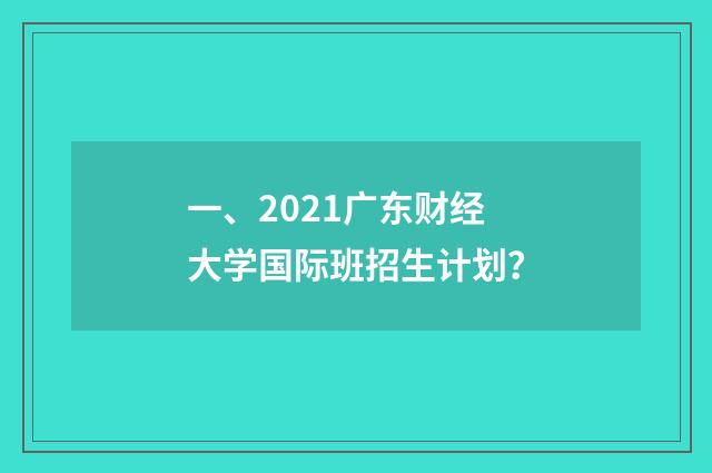 一、2021广东财经大学国际班招生计划?