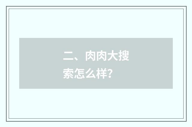 二、肉肉大搜索怎么样?