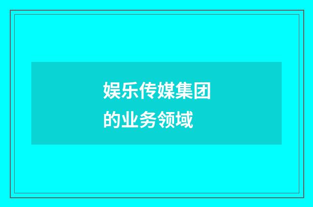 娱乐传媒集团的业务领域