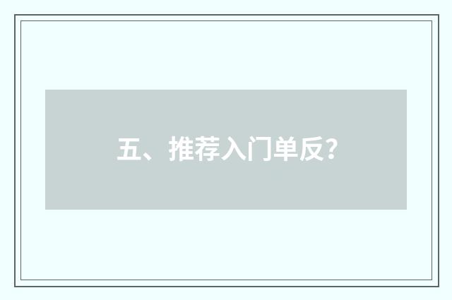 五、推荐入门单反？