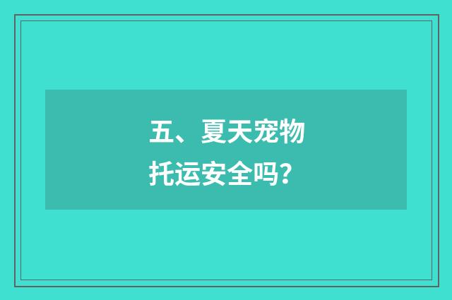五、夏天宠物托运安全吗?