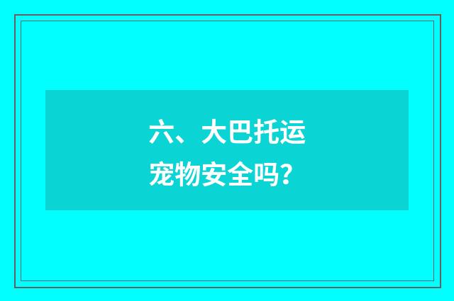 六、大巴托运宠物安全吗？