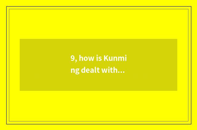 9, how is Kunming dealt with light model dynamoelectric autocycle temporarily li