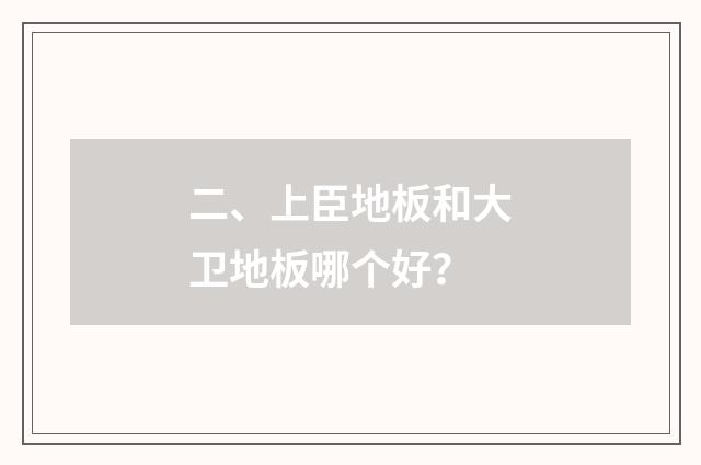 二、上臣地板和大卫地板哪个好?