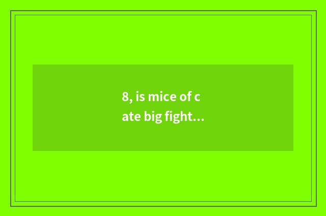 8, is mice of cate big fight made?