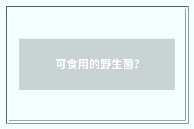 可食用的野生菌?
