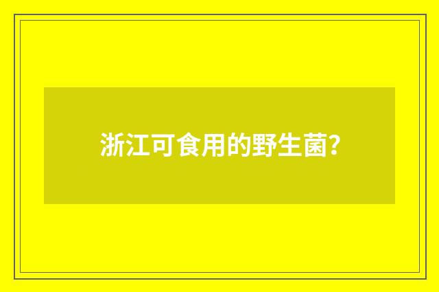 浙江可食用的野生菌？
