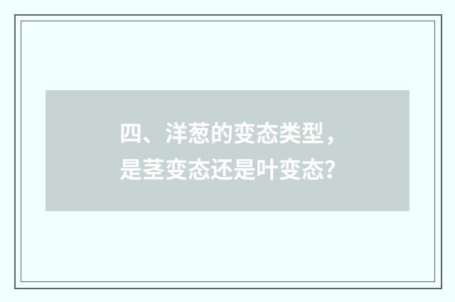 四、洋葱的变态类型，是茎变态还是叶变态？