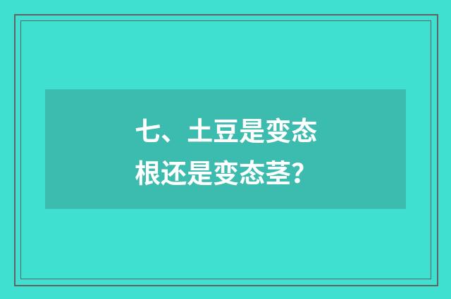 七、土豆是变态根还是变态茎？