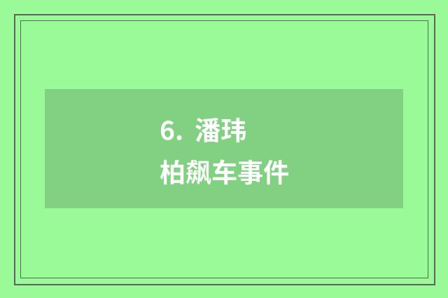 6.  潘玮柏飙车事件