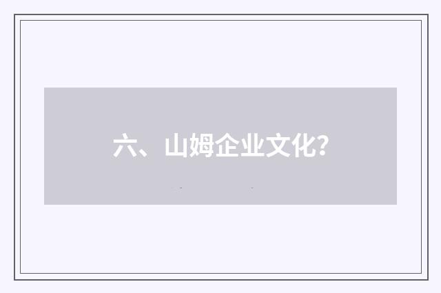 六、山姆企业文化？