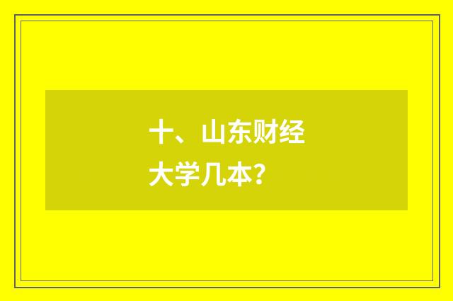 十、山东财经大学几本?