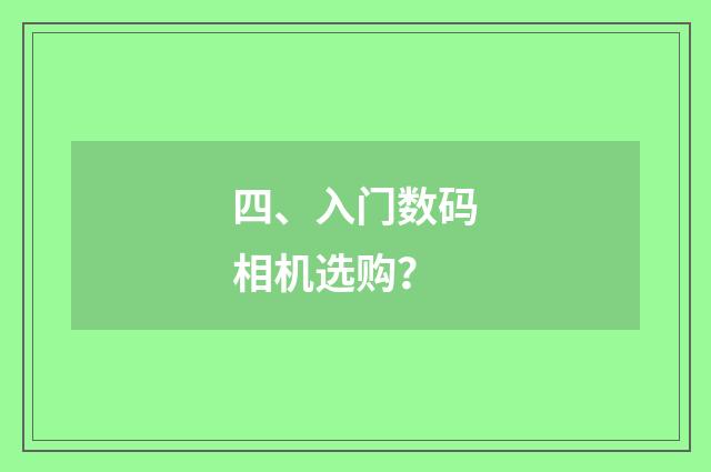 四、入门数码相机选购？
