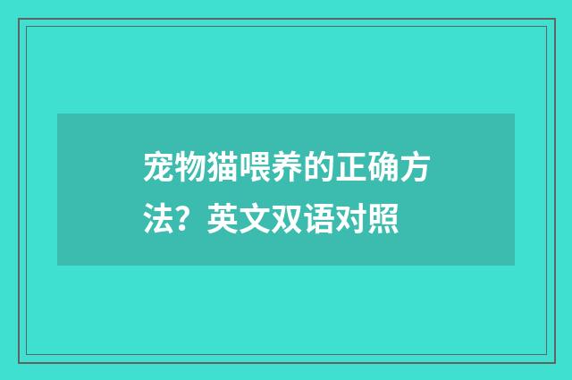 宠物猫喂养的正确方法?英文双语对照