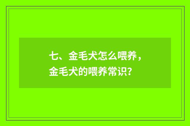 七、金毛犬怎么喂养,金毛犬的喂养常识?