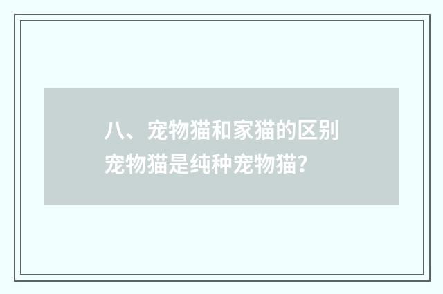 八、宠物猫和家猫的区别宠物猫是纯种宠物猫?